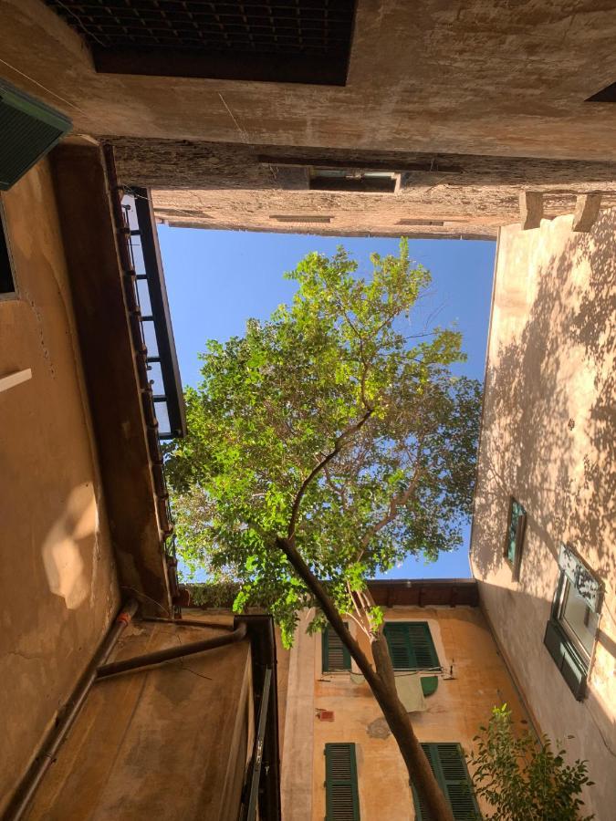 Navona Apartment Рим Екстериор снимка