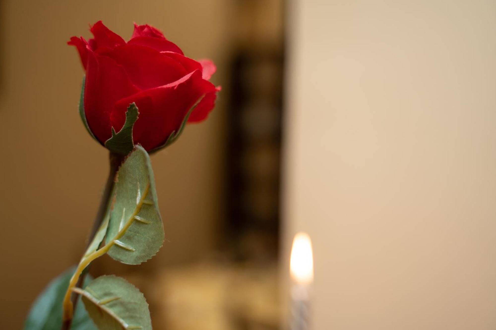 Navona Apartment Рим Екстериор снимка